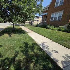 yard work by B and M Murillo Gardening Service reviewed on August 16, 2025