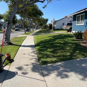 lawn maintenance by Unique Landscaping reviewed on May 25, 2024