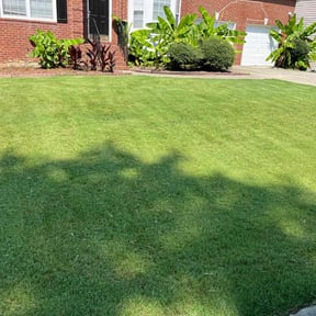 yard maintenance by Sample cuts n co. reviewed on August 18, 2025