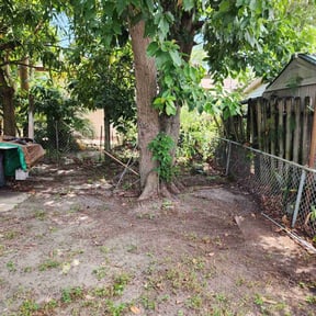 Leaf Removal by YB Cool Cutz reviewed on August 10, 2025