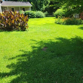 grass cutting by Extra Hands reviewed on August 17, 2025