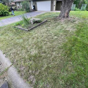 Leaf Removal by Grasshopper Design reviewed on October 1, 2025