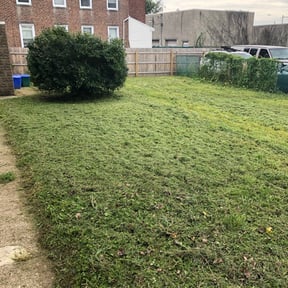 Bush Trimming by Irvine Lawn Service reviewed on August 16, 2025