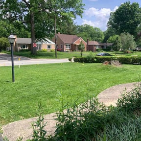 lawn care by Ocutandcompany reviewed on August 22, 2023