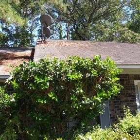 Bush Trimming by Growpro reviewed on August 16, 2025