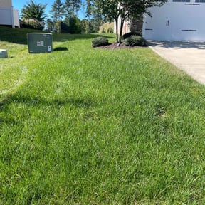 landscaping by Leon Davis Jr landscaping LLC reviewed on August 21, 2025