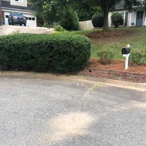 Bush Trimming by Orpez Handy Man reviewed on August 18, 2025