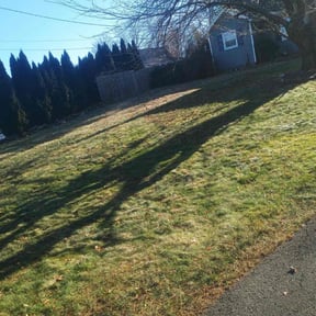 Leaf Removal by True Grit Turf reviewed on July 4, 2026