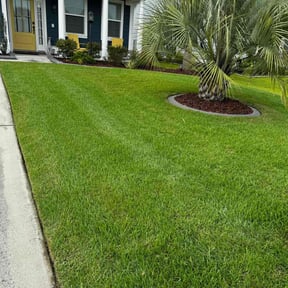 yard work by 2 Palms Lawn Care reviewed on August 18, 2025