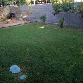 lawn service by Clover construction LLC reviewed on October 8, 2023
