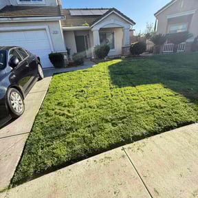 lawn care by Perez cuts reviewed on December 14, 2023