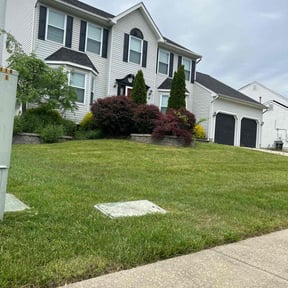 yard service by Troy's Lawn Care reviewed on August 16, 2025