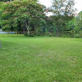 turf care by L&L Landscape Contractors LLC reviewed on March 20, 2024