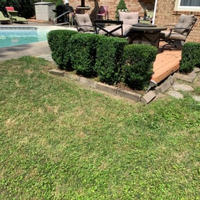 Bush Trimming by Sunnyside of Hillsborough reviewed on August 16, 2025