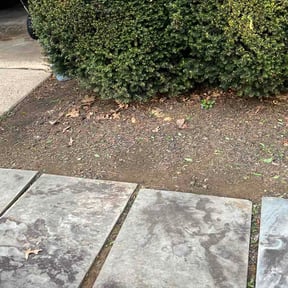 Flower Bed Weeding by CR Services reviewed on April 9, 2026