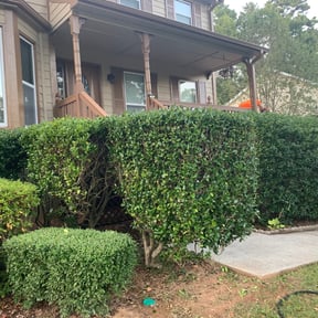 Bush Trimming by Grass gang reviewed on July 4, 2025