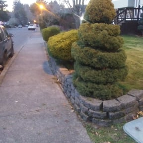 Bush Trimming by Krahns Lawn Services reviewed on August 21, 2025