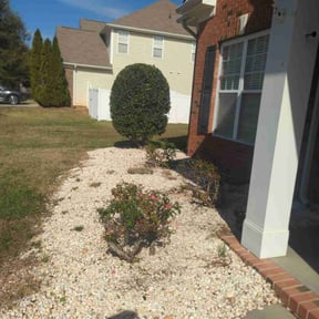 Bush Trimming by Kr lawncare reviewed on November 9, 2025