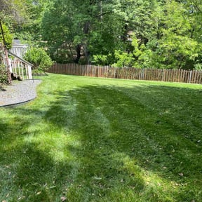 Long Grass Cleanup by It Grow We Mow Lawncare LLC reviewed on June 28, 2023