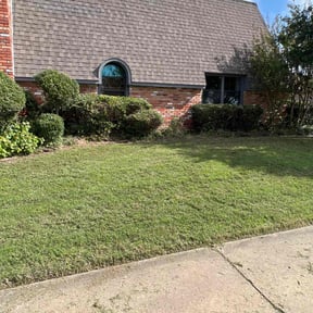 Bush Trimming by Bandala's Landscaping and Gardening Service reviewed on August 18, 2025