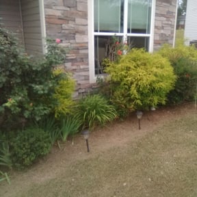 Flower Bed Weeding by Optimistic Landscaping LLC reviewed on August 15, 2025