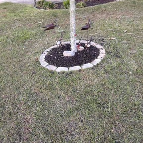 Flower Bed Weeding by Daniel Fiallos-Diaz reviewed on March 24, 2026