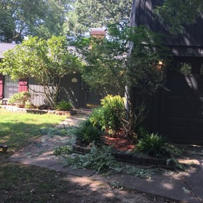 Bush Trimming by Tikitiki Garden Service reviewed on May 8, 2025