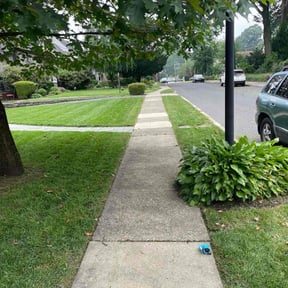 landscaping by SLC Groundskeepers reviewed on August 18, 2025