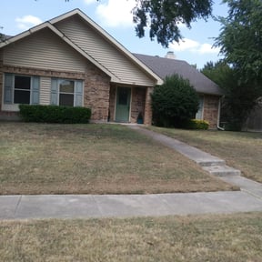 Bush Trimming by We like grass reviewed on August 17, 2025