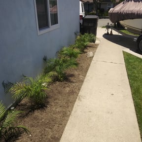 Flower Bed Weeding by Dee's lawn care reviewed on August 15, 2025