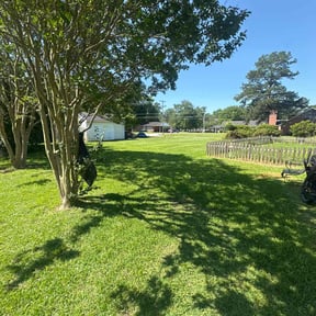 landscaping by Utley's Lawn Care reviewed on December 11, 2025