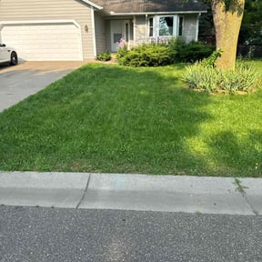 landscaping services by This &amp; That reviewed on October 22, 2025