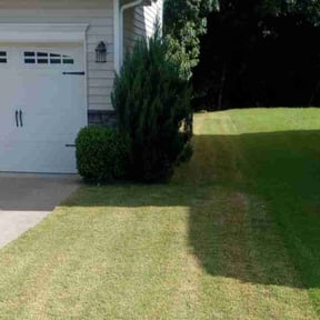 Bush Trimming by CDLandscapingFL reviewed on October 19, 2025