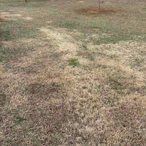 Leaf Removal by Greenway landscapers LLC reviewed on February 26, 2026