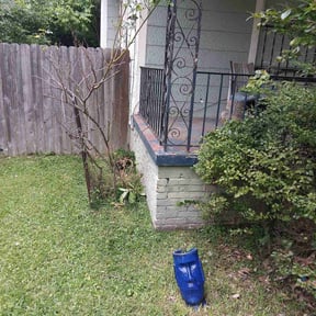 Bush Trimming by Rivera and Son's Services reviewed on August 17, 2025
