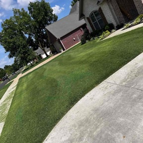 yard care by Cajun mans lawncare reviewed on November 19, 2025