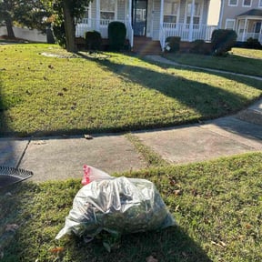 Bush Trimming by Hart's Exterior Care reviewed on May 3, 2026