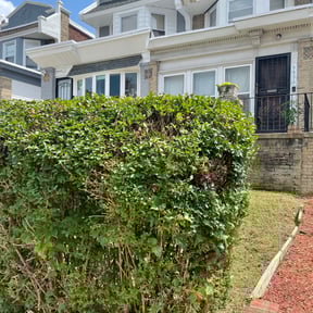Bush Trimming by Delgado Landscaping and Garden reviewed on August 15, 2025