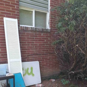 Bush Trimming by Heiser Lawn and Residential Excavating reviewed on August 20, 2025