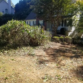 Bush Trimming by Bryant's Family Lawn Care reviewed on August 21, 2025