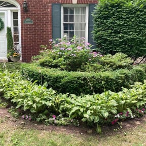 Bush Trimming by Rivera and Son's Services reviewed on August 19, 2025