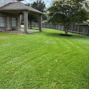 yard service by Mow-Hawk lawn service reviewed on August 15, 2025