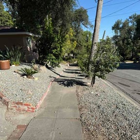Leaf Removal by Knox Vegas Lawn Service reviewed on August 6, 2026