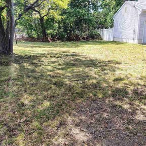 Leaf Removal by Landscaping V&amp;K. reviewed on May 11, 2026