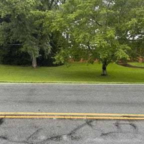 yard service by A Step Above Lawn Care LLC reviewed on August 15, 2025