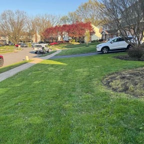 yard maintenance by GreenLand Landscaping LLC reviewed on August 15, 2025