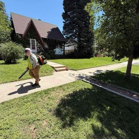 landscape maintenance by CTRL SPC LLC reviewed on August 16, 2025