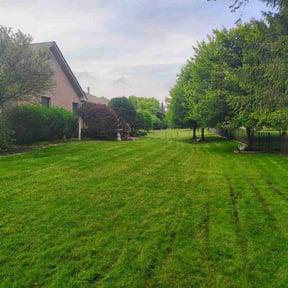 yard work by Coleman 6 landscaping reviewed on August 20, 2025