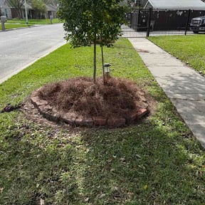 Flower Bed Weeding by Ultimate Landscape Contractor reviewed on March 10, 2026