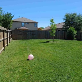 landscaping services by Greener Lawns reviewed on November 18, 2025